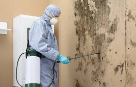 Best Mold Remediation for Healthcare Facilities  in Royal Palm Beach, FL